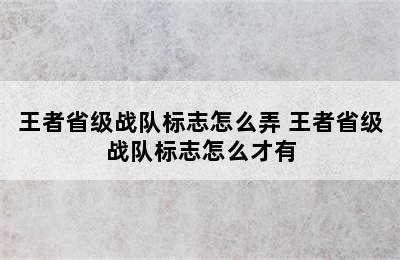 王者省级战队标志怎么弄 王者省级战队标志怎么才有